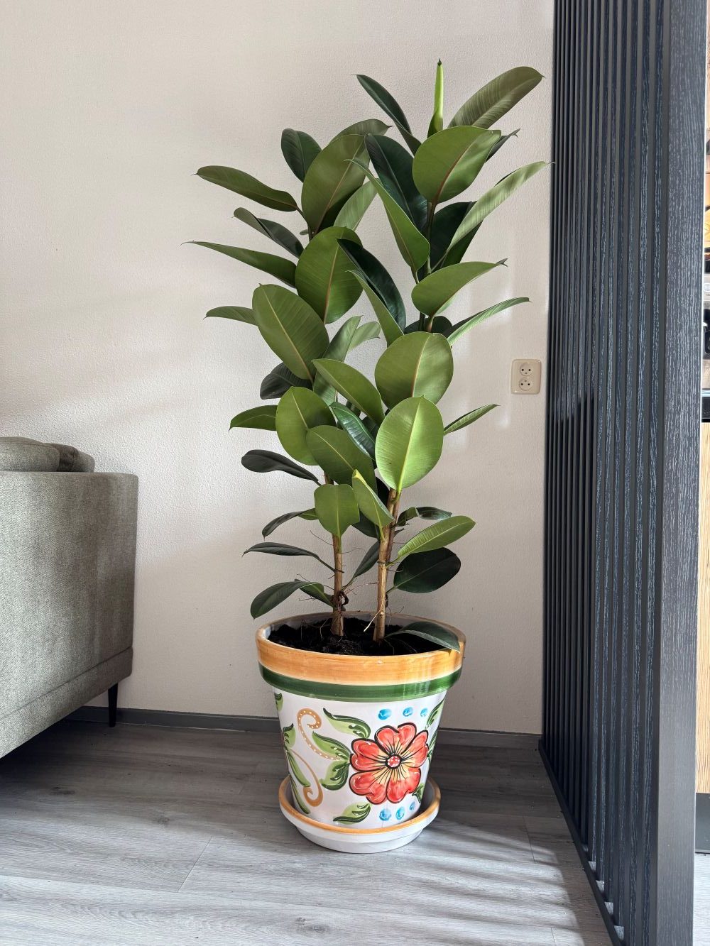 Grote plant 3